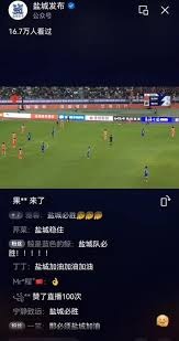 Kimi的世界杯预测引发热议背后的真相